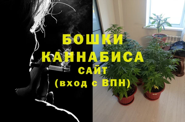 экстази Пересвет