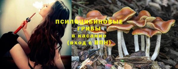 гашиш Пестово