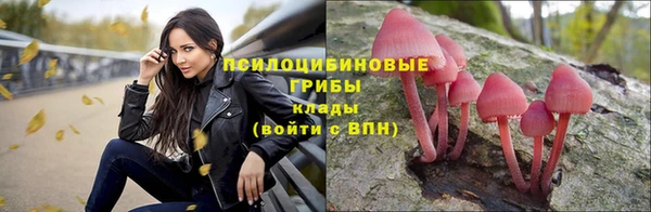 экстази Пересвет