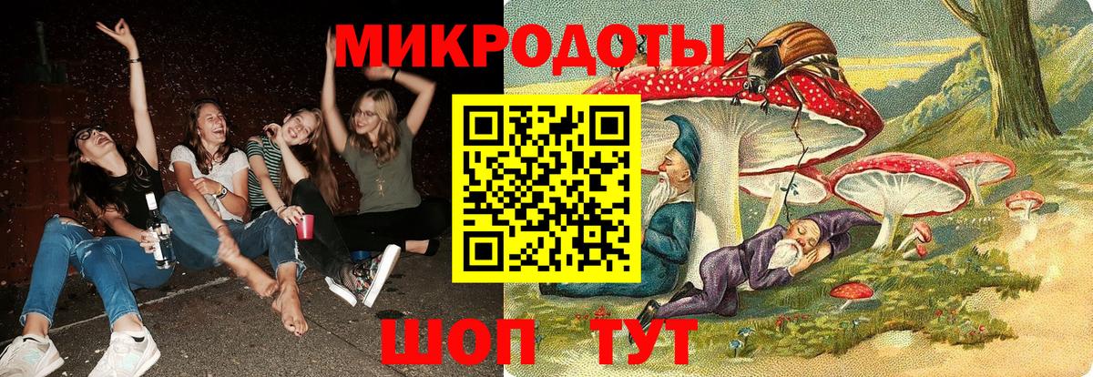 Казань  Галлюциногенные грибы Psilocybine cubensis  Вход с VPN 