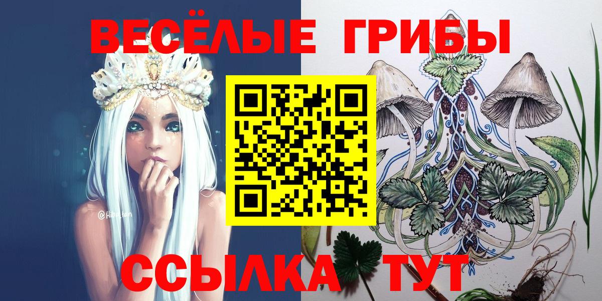 Галлюциногенные грибы прущие грибы Казань
